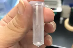 国际重大颠覆性突破 中国首次在实验室实现人工合成淀粉图片