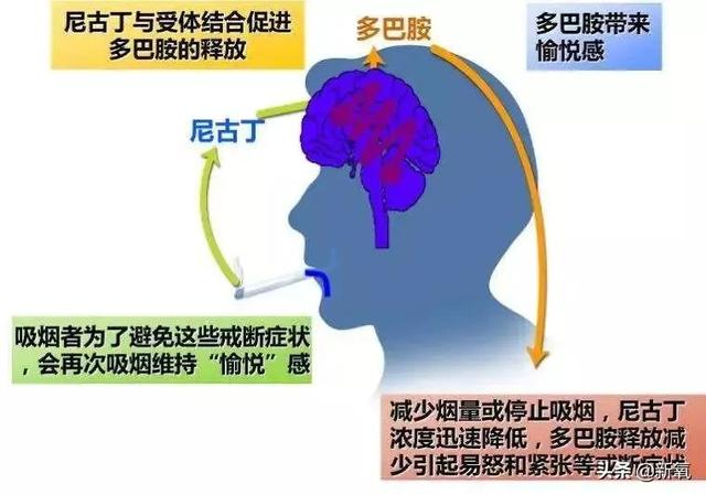 为什么泫雅的身材从来没有崩过？