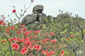 莆田十八股头的秘密图片