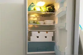 冰箱“天冷断电，可以省电”，这种说法是真的吗？来听听大实话图片