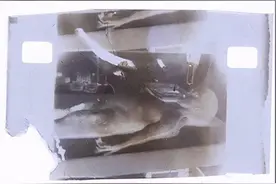 一帧“解剖外星人”画面，将以神秘代币计价拍卖，约合640万图片