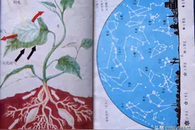 这些星空图你还记得吗？80年代小学自然里寻自己最美少年时光图片
