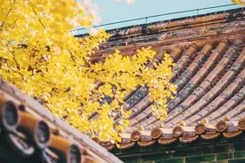 精美壁纸分享，愿你有前进一寸的勇气，亦有后退一尺的从容图片