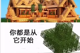 我的世界：这些引起老玩家共鸣的梗图！你中招了吗？图片