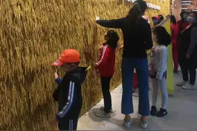 带孩子农耕体验，首选袁隆平杂交水稻科学园图片