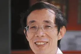 如何看待陈平，金灿荣，张维为?各有绝招，都是领域翘楚图片