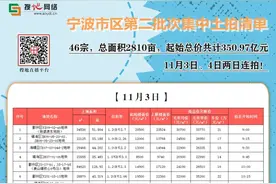 11.03宁波土拍预告 | 29宗品质涉宅地开拍在即图片