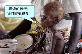 联合国宣布！粮食危机可能要来，波及全球8亿人图片