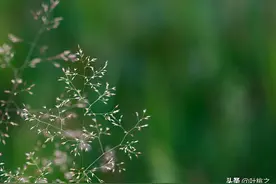 “亲戚借钱买房，拒绝后翻脸”：有些关系，不必精心维护图片