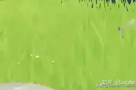 技术分享 |《原神》部分渲染效果分析（非官方）图片