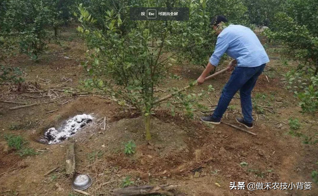 鍚屾牱鏄爱鑲ワ紝灏跨礌銆佺⒊閾点€佹隘鍖栭摰銆佺閰搁摰绛夊浣曟纭寫閫変笌浣跨敤锛? onerror=