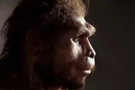 50万年前的秘密，北京猿人没混到食物链顶，却成了蚕食同类的恶魔图片