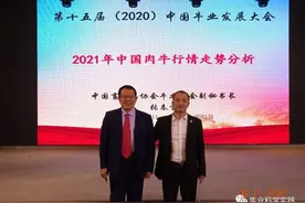 2021年中国肉牛行情走势分析图片