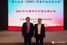 2021年中国肉牛行情走势分析图片