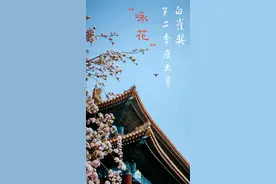 白雀奖 || 2020年第二季度全国原创诗词曲大赛公告图片