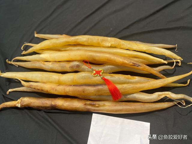 花胶热性还是凉性 2026年花胶热性还是凉性食物