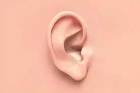 你家孩子耳朵长得好看吗？赶紧对照看看是否异常图片