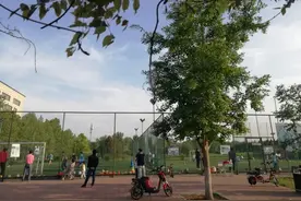 立夏就需要小太阳的陪伴图片