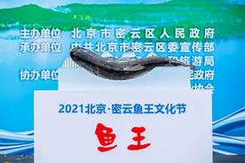 密云水库开渔，40斤“鱼王”拍出35万元！善款将捐赠图片