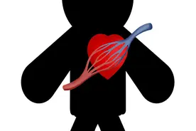 研究：补充维生素K，心血管疾病风险降低34%，吃什么有助补充？图片