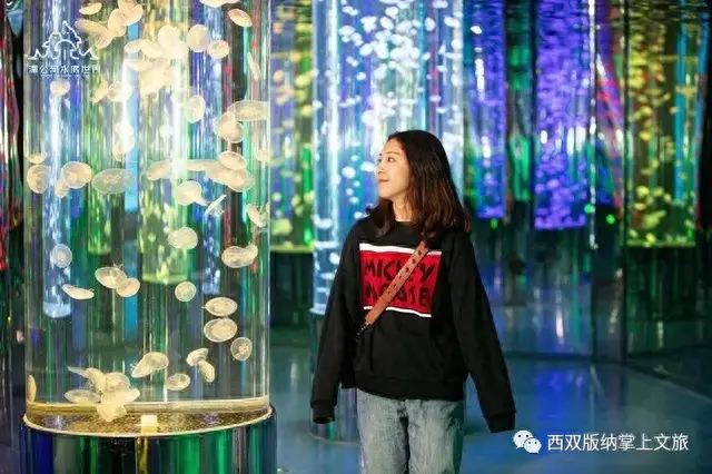 懒腰app逾期，森林公园湄公河水底世界门票多少价钱 配图07