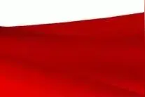 邢台市委组织部公示图片