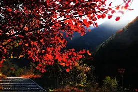 徒步舞彩浅山登山步道观赏秋色美景图片