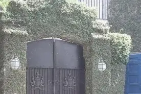 郭晶晶香港豪宅大气温馨，大门被藤蔓围绕，宅院大到令人羡慕图片