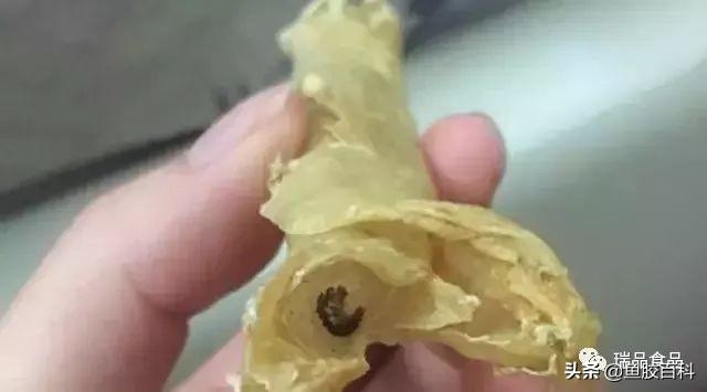 花胶表面有黑 2025年花胶表面有黑点能吃吗