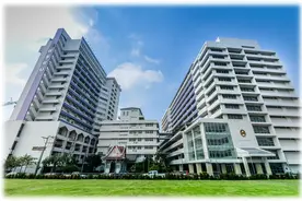 泰国教育怎么样？图片