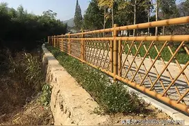 浅谈不锈钢仿竹栏杆 仿竹管与水泥仿竹栏杆的优劣势 适用新农村建设图片