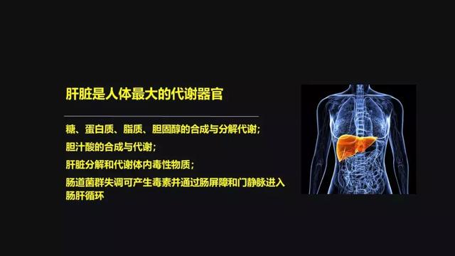 贾伟：肝病肠治？且看肠道细菌如何对肝病推波助澜