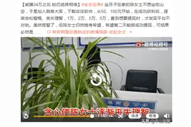 被骗34万之后 她仍选择相信图片