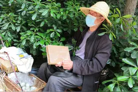 看英文书边卖鸡蛋老人走红网络：曾在高校任教 卖蛋为贴补买书钱图片