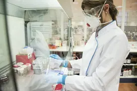 细胞培养需注意哪些环境因素和条件呢图片