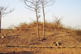 神医坟头土包治百病？村民纷纷取土治病，难道是仙师显灵了？图片