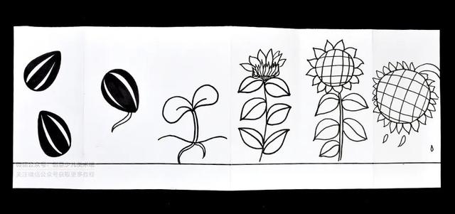 儿童画教程|综合创意美术课程《我的自然笔记》