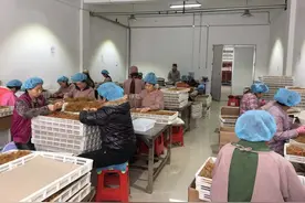 今年吉林省首批长白山人参籽出口海外图片