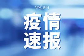 美国纽约州累计确诊逾13.8万例 超过意大利图片