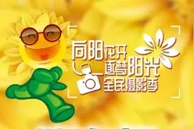 万亩向日葵已上线，兰州新区等你来打卡！图片