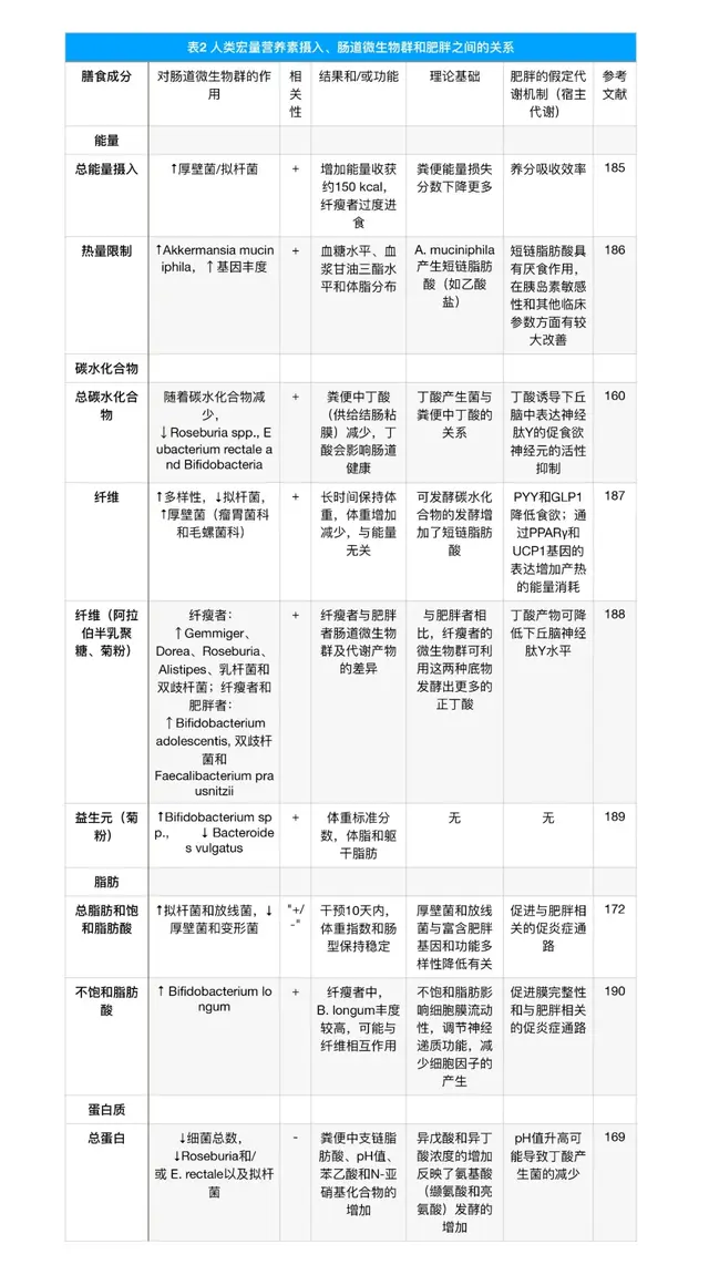 特别推荐：近期你应该更新的15000字肥胖知识