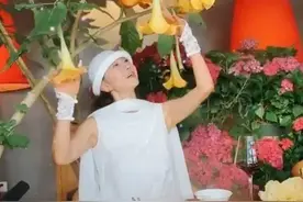 她被1.1万人嘲笑人生失败，却靠副业赚了5个亿图片