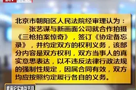 北京法院对张艺谋和张伟平案件做出了一审判决视频封面