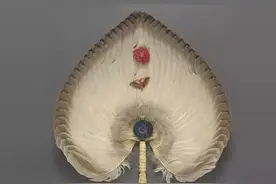 「艺术空间」清风徐来｜古代精美扇子大观「四」图片