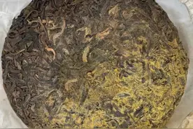 你的普洱茶不是长了金花，是发霉了图片