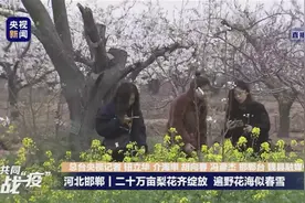 4月1日 邯郸要闻快报图片