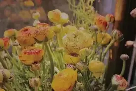分手吧，陶白白说我们不合适图片
