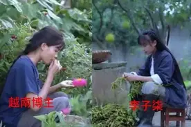 复制粘贴？外国博主抄袭李子柒，连奶奶和狗都如出一辙...图片