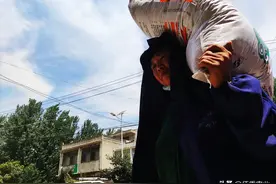玉米施足底肥后，还需要苗后追肥吗？农业专家告诉你怎样做才合理图片