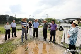 今天，书记县长双双到这些项目工地调研，提出这些要求！图片